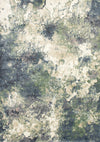 Carpette Dayton à aspect vieilli - 3 pi 11 po x 5 pi 7 po