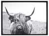 Taureau laminé encadré - 31 po x 41 po