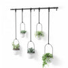Umbra White Triflora Hanging Planter - Set of 6|Jardinière suspendue Triflora de Umbra blanche - ensemble de 6