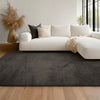 Argo Plush & Shags Charcoal Washable Rug 8'0" x 10'0" Indoor Area Rug | Tapis Lavable/Moelleux Argo 8'0" x 10'0" en Charbon