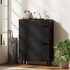 HOMCOM Narrow Shoe Cabinet Shoe Storage Cabinet with 2 Flip Drawers, Black
