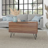 Manhattan Comfort Beekman 2-Shelf Accent Cabinet - Brown|Armoire décorative Beekman de Manhattan Comfort avec 2 tablettes - brune