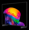 LG 42" C6 OLED 4K Smart webOS TV (OLED42C6PUA.ACC) - 2026 Model | Téléviseur intelligent DELO LG C6 4K de 42 po avec webOS (OLED42C6PUA.ACC) - modèle 2026