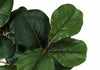 Fiddle Tree 32" Artificial Plant|Plante artificielle figuier lyre 32 po