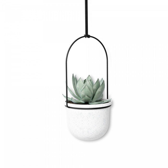 Jardinière suspendue Triflora de Umbra blanche - ensemble de 6