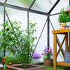 Outsunny 6' x 6' x 6.5' Polycarbonate Greenhouse Walk-in Green House, Grey