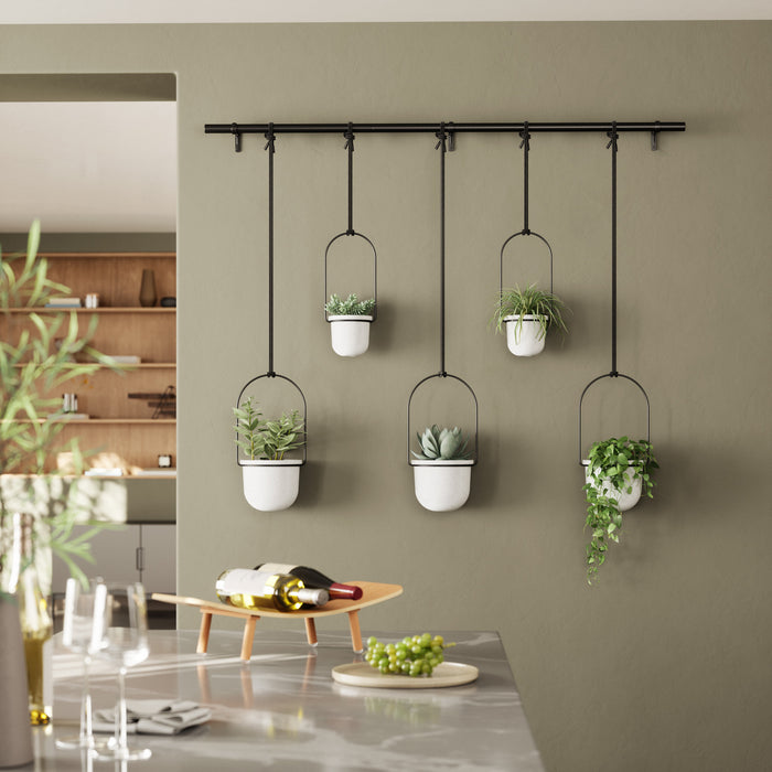 Jardinière suspendue Triflora de Umbra blanche - ensemble de 6