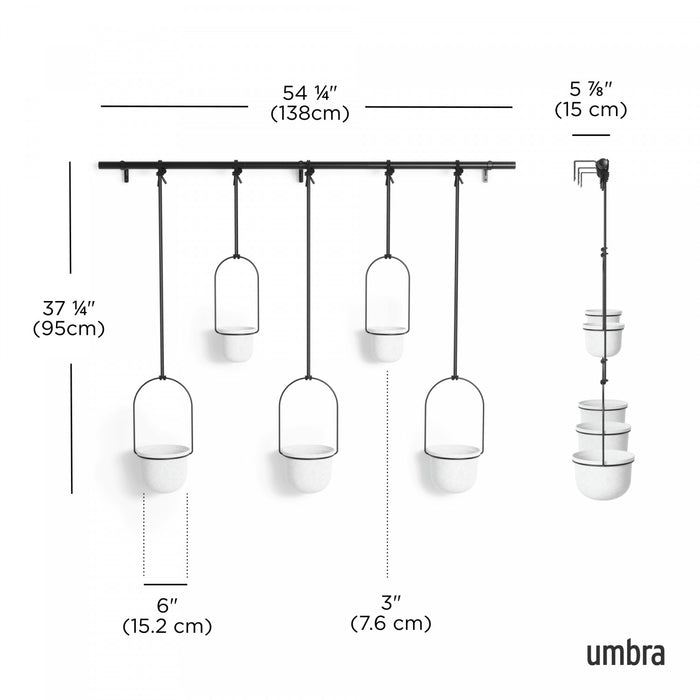Jardinière suspendue Triflora de Umbra blanche - ensemble de 6