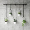 Umbra White Triflora Hanging Planter - Set of 6|Jardinière suspendue Triflora de Umbra blanche - ensemble de 6