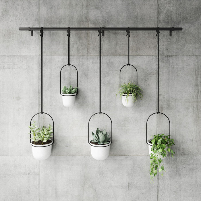 Jardinière suspendue Triflora de Umbra blanche - ensemble de 6