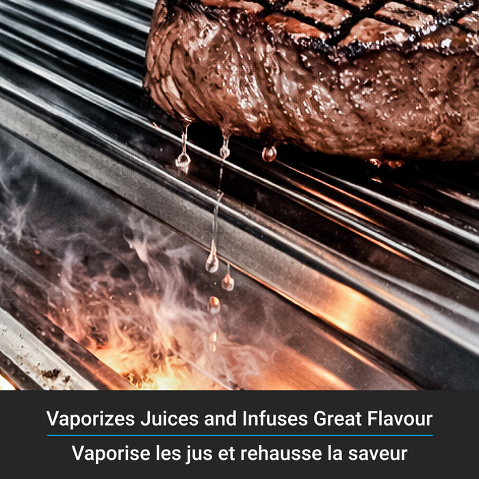 Barbecue à gaz propane BaronMC 490 Pro Shadow de 65 000 BTU - noir - 674144