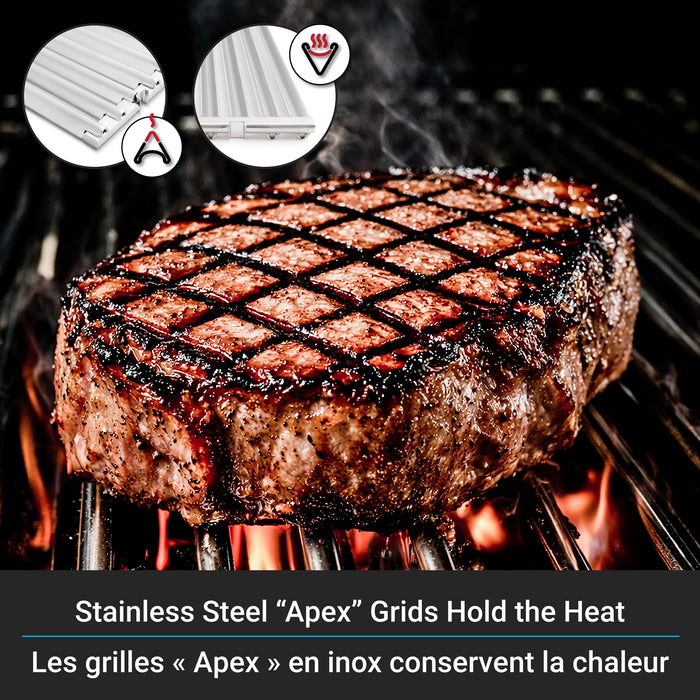 Barbecue à gaz propane BaronMC 490 Pro Shadow de 65 000 BTU - noir - 674144