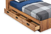 Driftwood Mates Bed with Bookcase Headboard Set for Kids, Brown - Twin Size | Ensemble lit matelot et tête de lit bibliothèque Driftwood pour enfants, brun - format lit simple