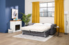 Made in Canada Everlee 76.5" Microsuede Queen-Size Sofa Bed with Memory Foam and Two Accent Pillows - Grey | Grand sofa-lit Everlee de 76,5 po fabriqué au Canada en microsuède avec mousse à mémoire de forme et deux coussins décoratifs - gris