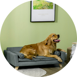 Articles pour Animaux de Compagnie