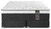Springwall Encore Imagine Eurotop Plush King Mattress Set | Ensemble matelas moelleux à Euro-plateau Encore Imagine de Springwall pour très grand lit