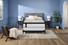 Sealy Copper Collection Queen Boxspring | Sommier Collection Cuivre de Sealy pour grand lit | CP25BXQB