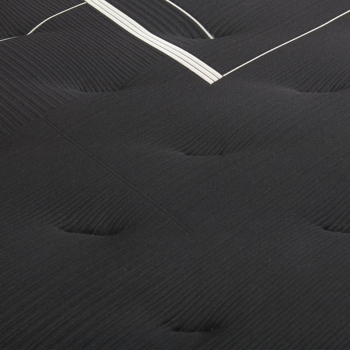 Matelas ferme à Euro-plateau Executive Suite de série Hotel de Beautyrest BlackMD pour lit simple très long