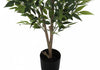 47" Artificial Acacia Tree in 5" Pot | Acacia artificiel de 47 po en pot de 5 po