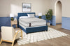 Sealy Posturepedic® Plus Alora Eurotop Plush Twin Mattress Set | Ensemble Matelas moelleux à Euro-plateau Alora PosturepedicMD Plus de Sealy pour lit simple | ALORAPTP