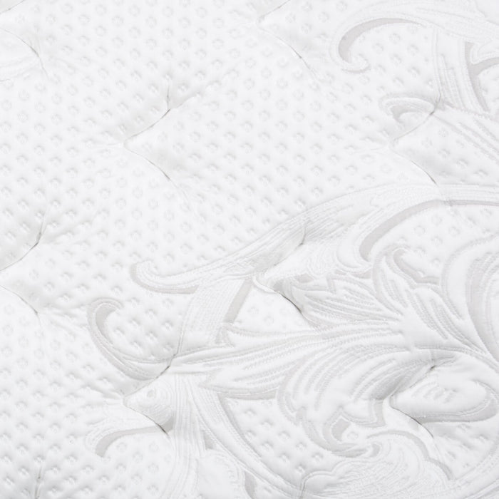 Ensemble matelas à Euro-plateau Moyen Berwick de Scott Living pour grand lit 