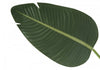 60" Artificial Bird of Paradise in 5" Pot | Oiseau du paradis artificiel de 60 po en pot de 5 po