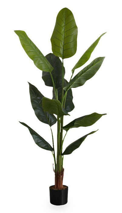Strelitzia artificielle de 59 po en pot de 5 po