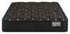 Springwall Advance Vauxhall Tight Top Firm Twin Mattress  | Matelas ferme à plateau régulier Advance Vauxhall de Springwall pour lit simple