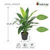 Artificial 25" Dracaena In Black Pot 