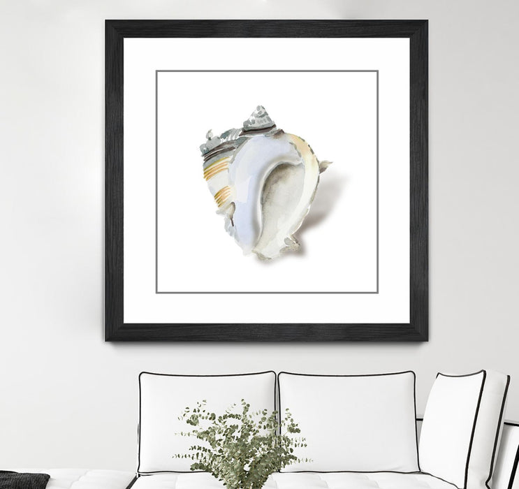 Œuvre d’art murale encadrée noire et mate « Seafoam Shell » 30 x 30