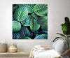 "Leaf Viii" Giant Art 54x54 Wall Art