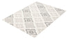 Alaqua Ivory Area Rug - 8'0" x 10'0"