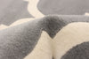 Aliya Grey 5'3" x 7'7" Area Rug