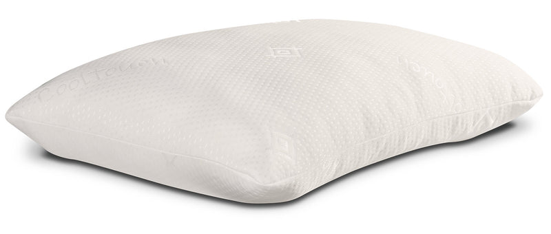 Paire d'oreillers : Oreiller standard CoolTouchMC de MasterguardMD