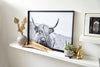 Framed Laminated Bull - 31" x 41" 