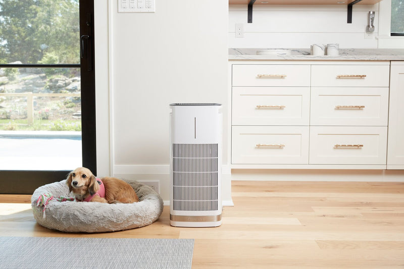 Purificateur d’air amovible PuRXium de Cuisinart - CAP-1000C
