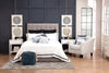 Jace Storage Full Bed - Taupe - Modern style Bed in Taupe Solid Woods, Medium Density Fibreboard (MDF), Plywood