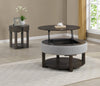 Elroy Coffee Table with Lift-Top - Contemporary style Coffee Table in Dark Brown Mango, Parawood