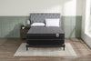 Springwall Low-Profile Queen Boxspring 