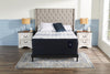 Serta Vanguard 2023 Low-Profile Twin Boxspring 